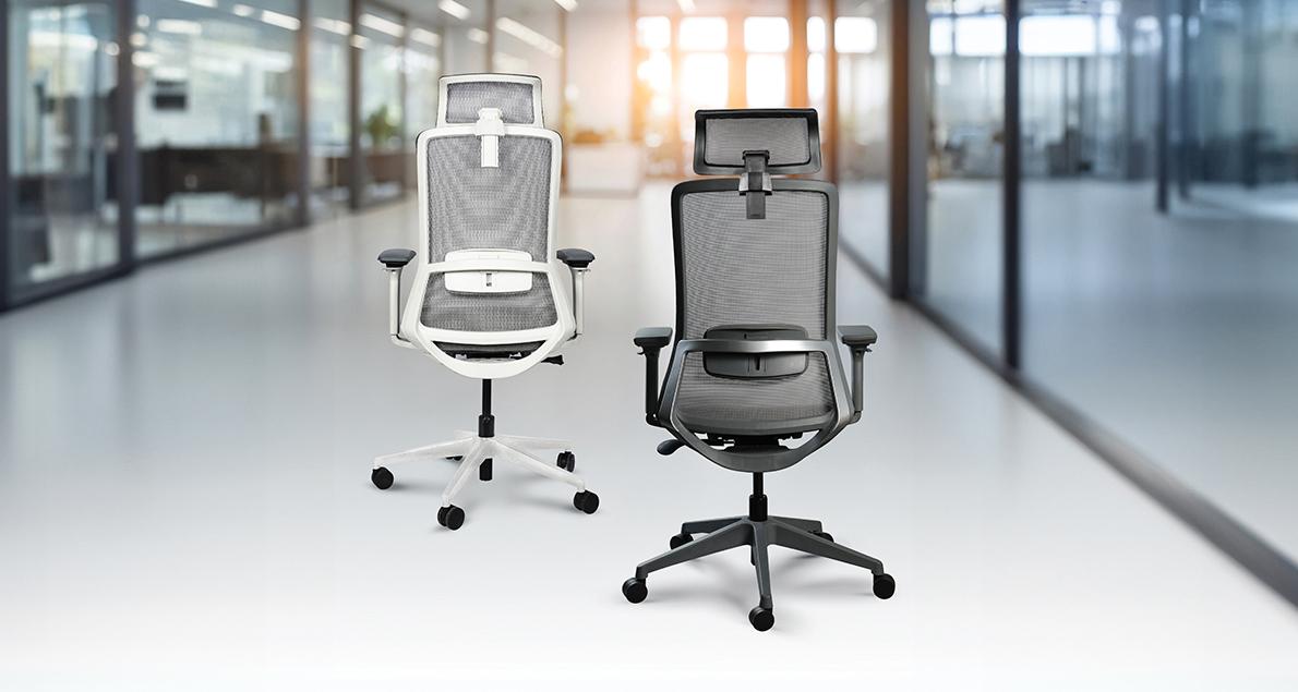Understanding Ergonomic Office Chairs: Your Body's Best Workplace Ally