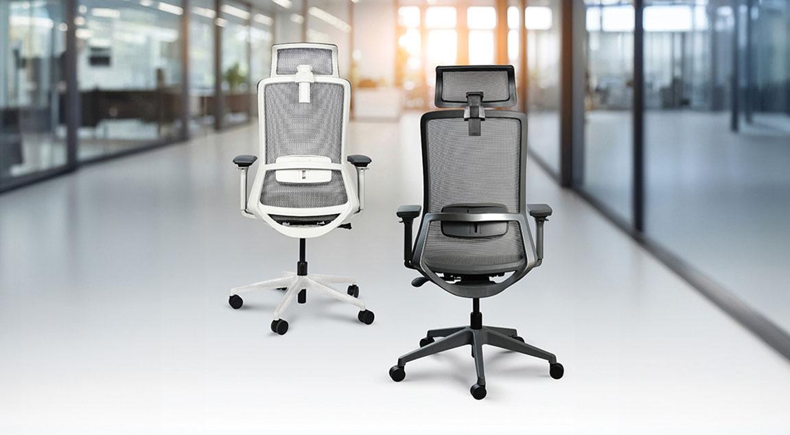 Understanding Ergonomic Office Chairs: Your Body's Best Workplace Ally